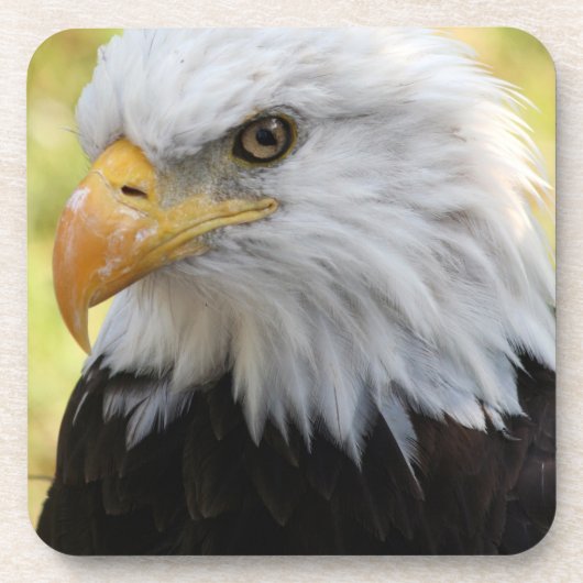 Falln Bald Eagle Liberty Bier Onderzetter (Voorkant)