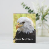 Falln Bald Eagle Liberty Briefkaart (Staand voorkant)