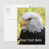 Falln Bald Eagle Liberty Briefkaart (Voorkant / Achterkant)