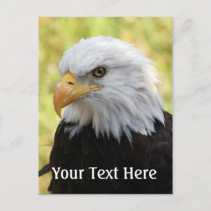 Falln Bald Eagle Liberty Briefkaart