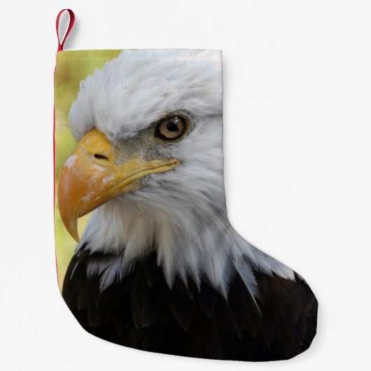 Falln Bald Eagle Liberty Kleine Kerstsok (Voorkant)