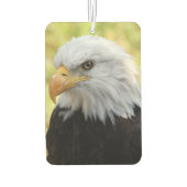 Falln Bald Eagle Liberty Luchtverfrisser (Achterkant)