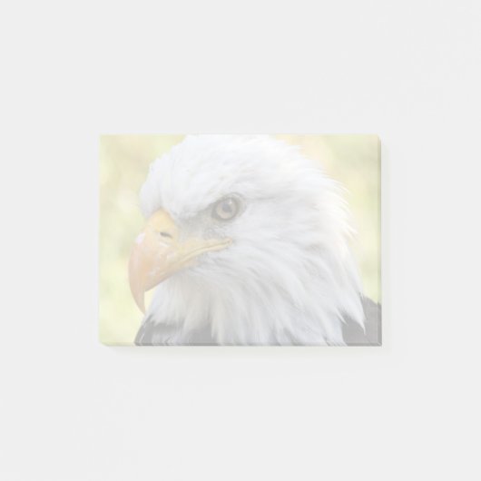 Falln Bald Eagle Liberty Post-it® Notes (Voorkant)