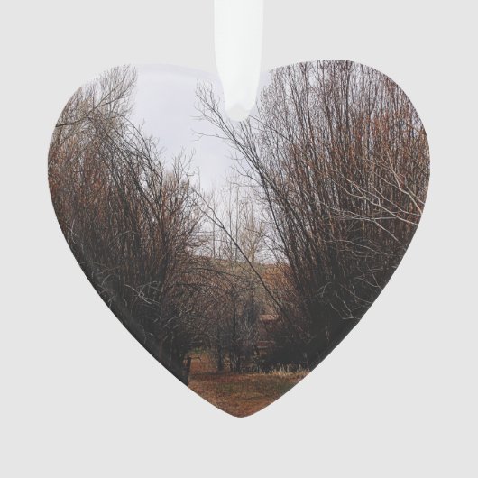 Falln Bannack Overgrowth Ornament (voorkant)