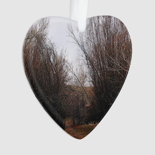 Falln Bannack Overgrowth Ornament (voorkant)