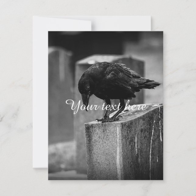 Falln Cemetery Crow (Voorkant)