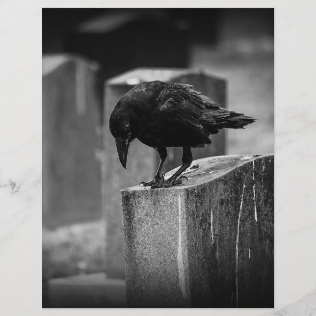 Falln Cemetery Crow (Voorkant)
