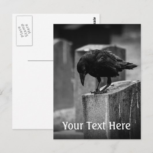 Falln Cemetery Crow Briefkaart (Voorkant / Achterkant)