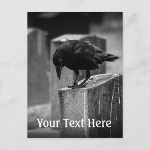 Falln Cemetery Crow Briefkaart