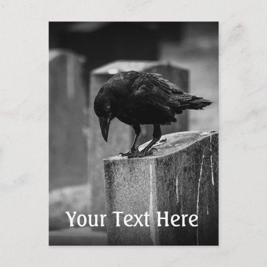Falln Cemetery Crow Briefkaart (Voorkant)