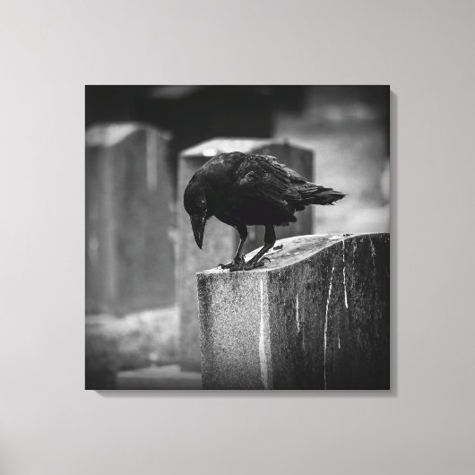 Falln Cemetery Crow Canvas Afdruk (Voorkant)