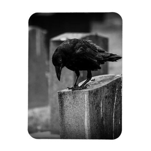 Falln Cemetery Crow Magneet (Verticaal)