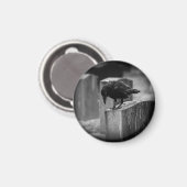 Falln Cemetery Crow Magneet (Voorkant / Achterkant)