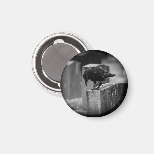 Falln Cemetery Crow Magneet (Voorkant / Achterkant)