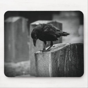 Falln Cemetery Crow Muismat