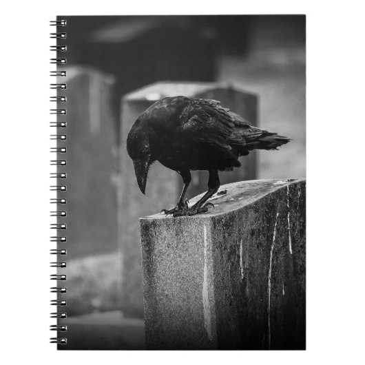 Falln Cemetery Crow Notitieboek (Voorkant)