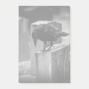 Falln Cemetery Crow Post-it® Notes