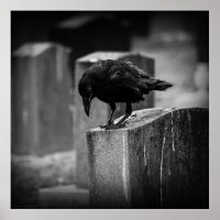 Falln Cemetery Crow