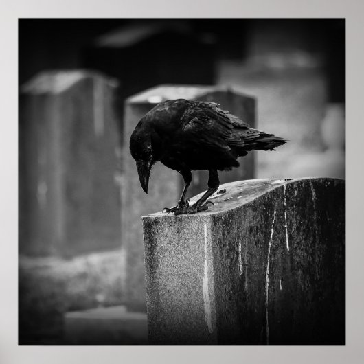 Falln Cemetery Crow Poster (Voorkant)