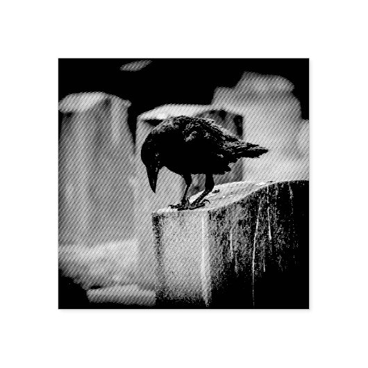 Falln Cemetery Crow Rubberstempel (Afrduk)