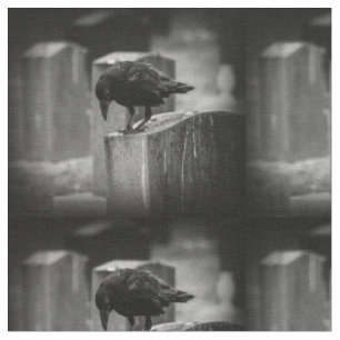Falln Cemetery Crow Stof