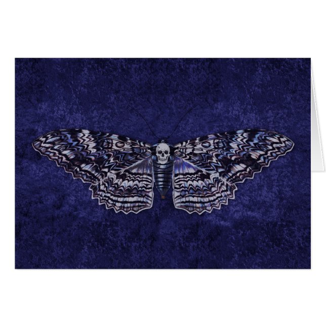 Falln Deathshead Moth (Voorkant Horizontaal)