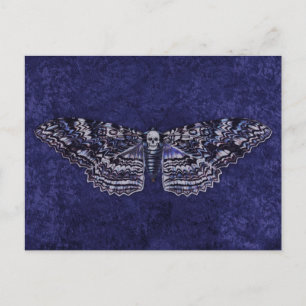 Falln Deathshead Moth Briefkaart