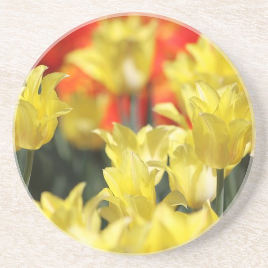 Falln Floral Summer Glow Zandsteen Onderzetter (Voorkant)