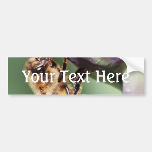 Falln Fuzzy Little Bee Bumpersticker (Voorkant)