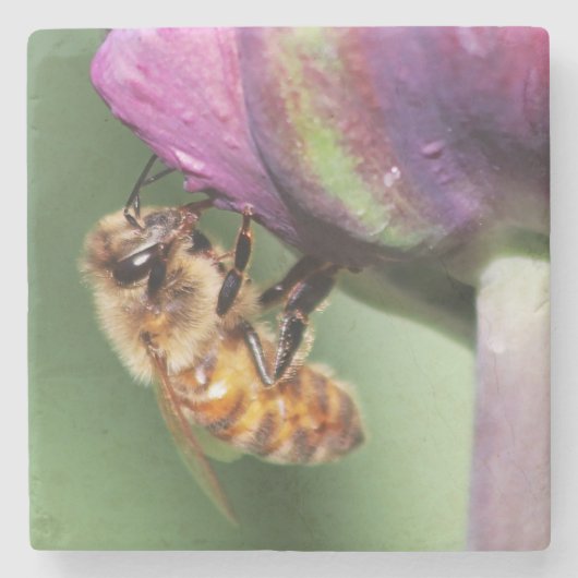 Falln Fuzzy Little Bee Stenen Onderzetter (Voorkant)
