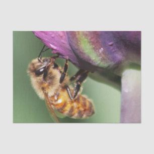 Falln Fuzzy Little Bee Tissuepapier