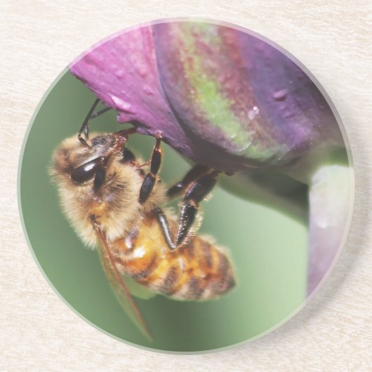 Falln Fuzzy Little Bee Zandsteen Onderzetter (Voorkant)