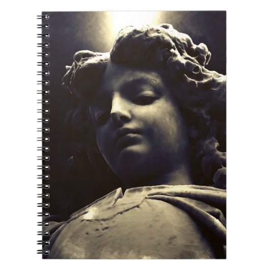 Falln Gabriel Daling Notitieboek (Voorkant)