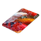 Falln Gathering Koi Magneet (Linkerzijde)