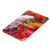 Falln Gathering Koi Magneet (Linkerzijde)