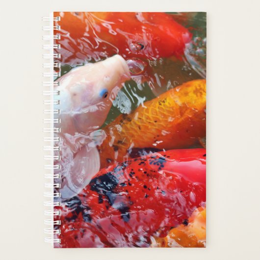 Falln Gathering Koi Planner (Voorkant)