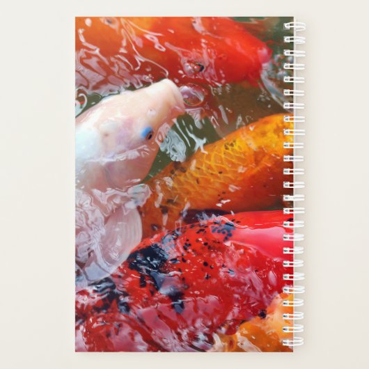 Falln Gathering Koi Planner (Achterkant)