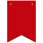 Falln Gay Pride Flag Vlaggetjes (Eerste vlag)