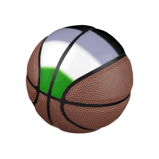 Falln Genderqueer Pride Flag Mini Basketbal (Schuin)