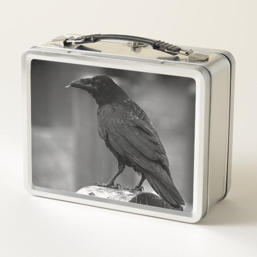 Falln heeft een doether gevonden (Achterkant)