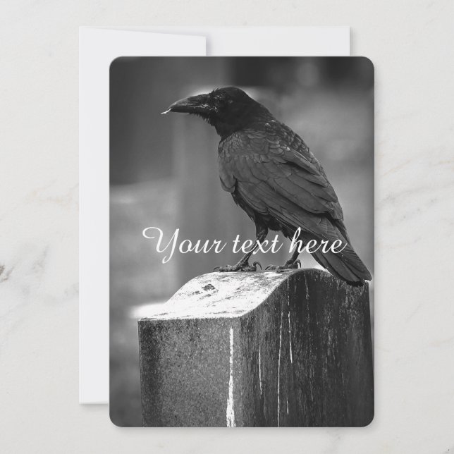 Falln heeft een doether gevonden (Voorkant)