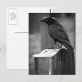 Falln heeft een doether gevonden briefkaart (Voorkant / Achterkant)