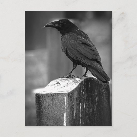 Falln heeft een doether gevonden briefkaart (Voorkant)
