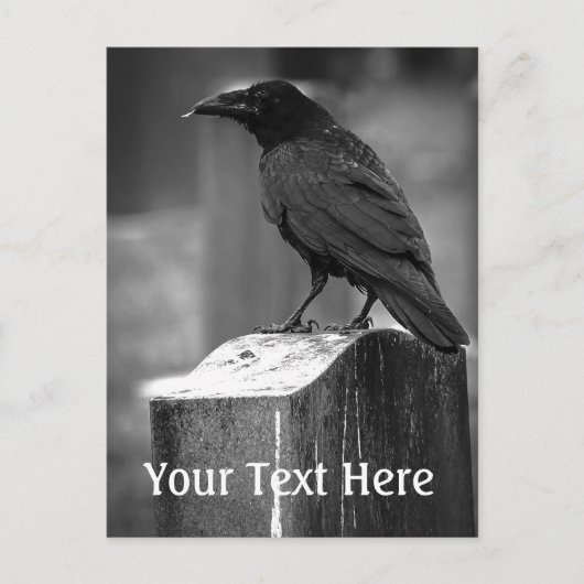 Falln heeft een doether gevonden briefkaart (Voorkant)