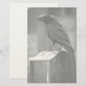 Falln heeft een doether gevonden briefpapier (Voorkant / Achterkant)