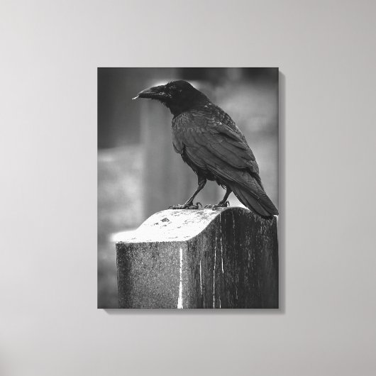 Falln heeft een doether gevonden canvas afdruk (Voorkant)