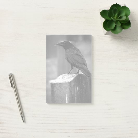 Falln heeft een doether gevonden post-it® notes (Kantoor)