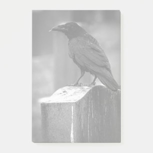 Falln heeft een doether gevonden post-it® notes