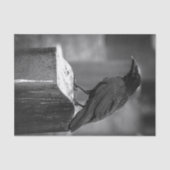 Falln heeft een doether gevonden tissuepapier (Voorkant)