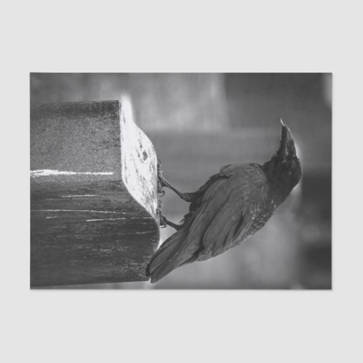 Falln heeft een doether gevonden tissuepapier (Voorkant)